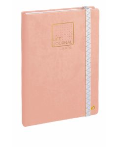 Bullet journal Stippen