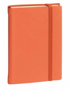 Notitieboekjes Gelinieerd